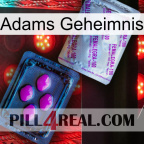 Adams Secret 37